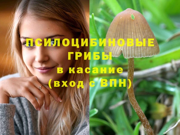 крисы Арсеньев
