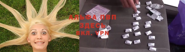 крисы Арсеньев