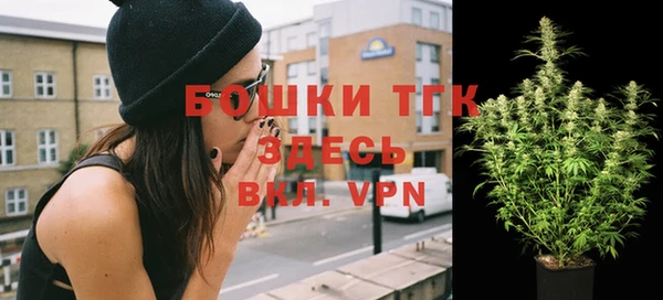ешки Аркадак