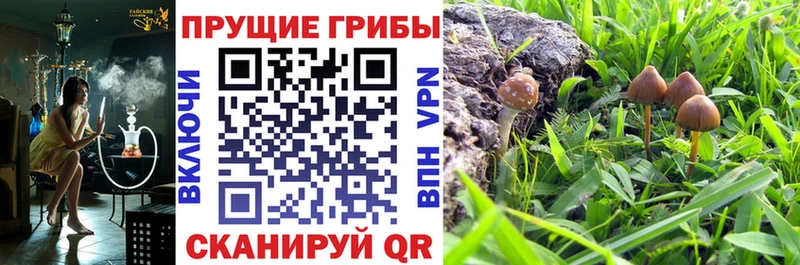 Галлюциногенные грибы Magic Shrooms  купить   Полярные Зори 